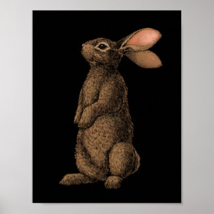 Poster Coelho