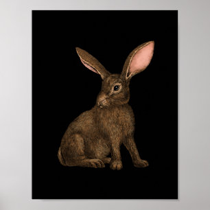 Poster Coelho 4