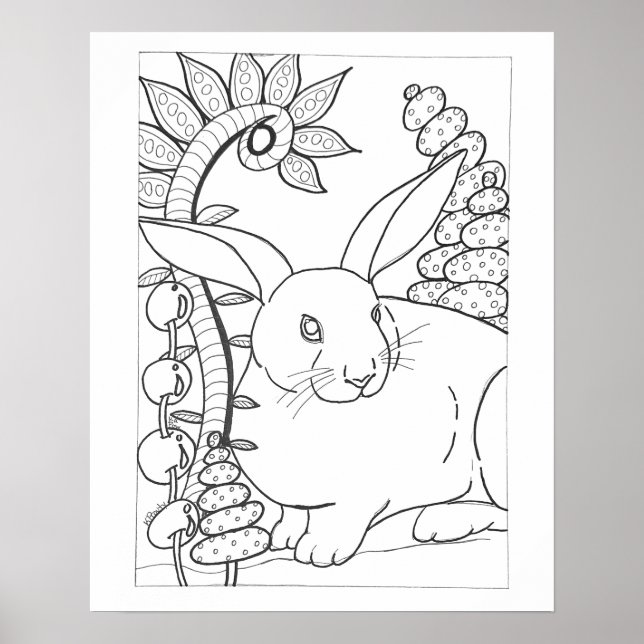 Poster Coelho a cores de 16"x 20" (Frente)