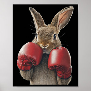 Poster Coelho Boxing