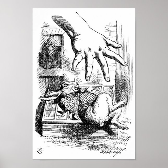 Póster Coelho Branco (Frente)