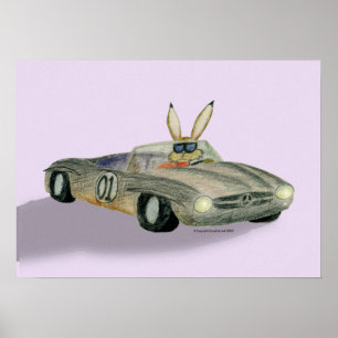 Póster Coelho das corridas de carros