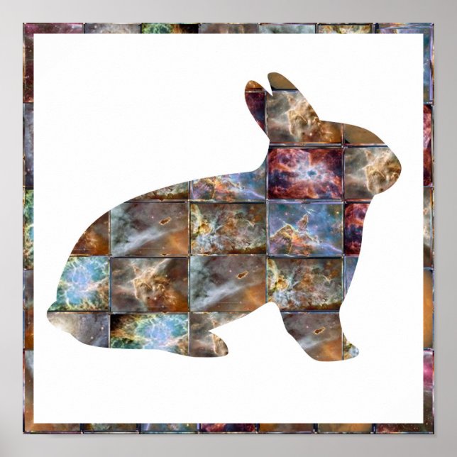 Poster COELHO: Design gráfico (Frente)