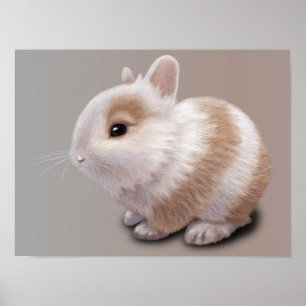 Póster Coelho do bebê