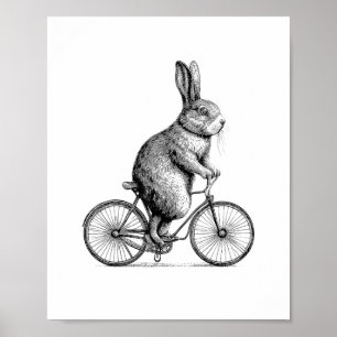 Poster Coelho Em Bicicleta De Bicicleta De Bicicleta W