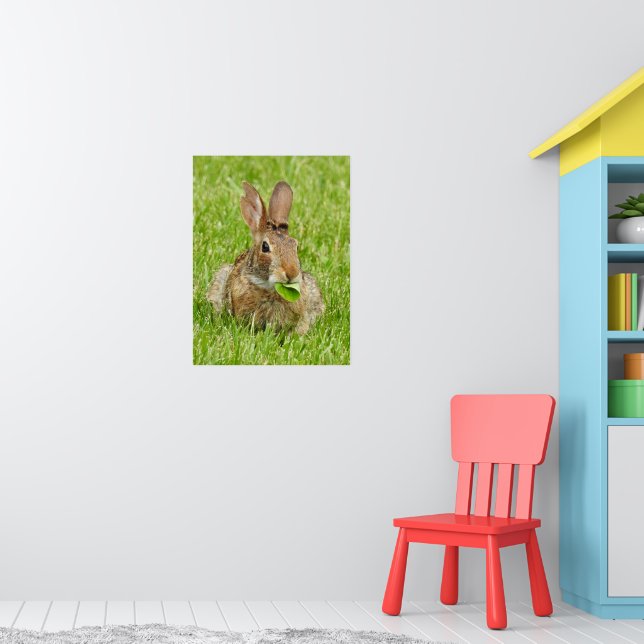 Poster Coelho Selvagem Bonito Comendo Coelho (Berçário 1)