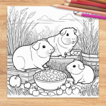 Coelhos da Guiné Animais de Estimação Fofos para C