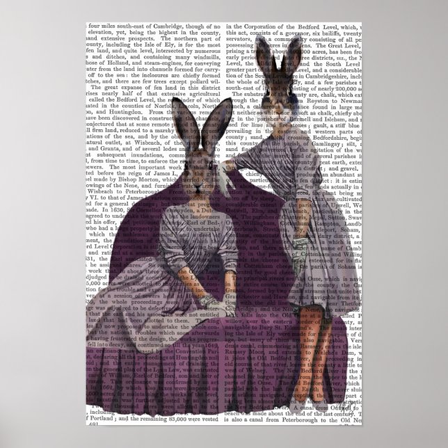 Poster Coelhos de Roxo (Frente)