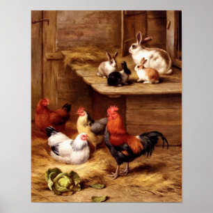 Póster Coelhos dos animais de fazenda dos animais de