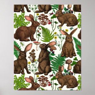 Poster Coelhos e flora florestal 4