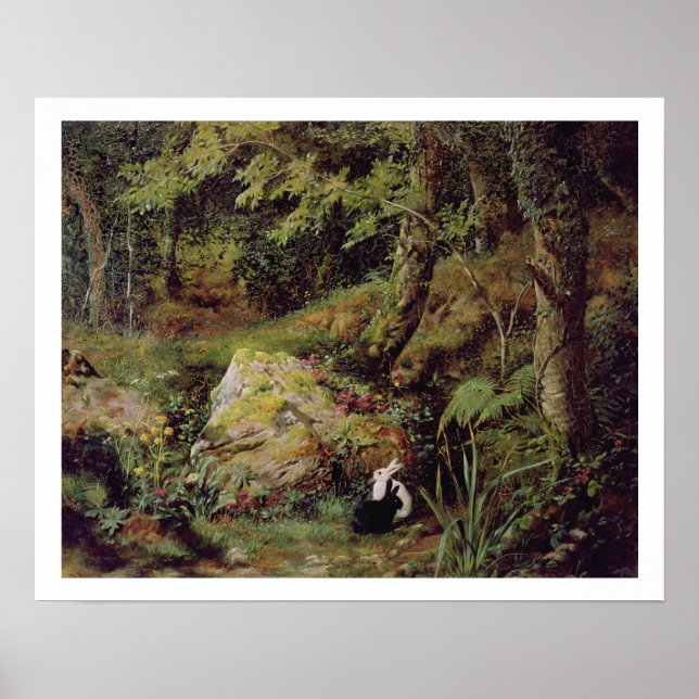 Póster Coelhos vadios (Frente)