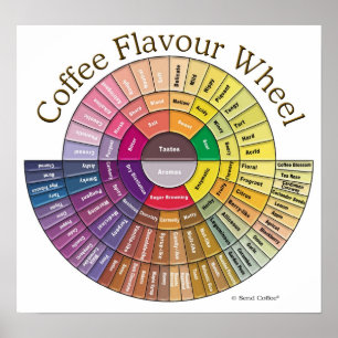 Póster Coffee Flavour Wheel Wall Art - Large