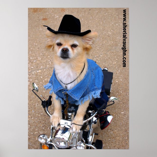 Poster Cogão Biker Cowboy (Frente)