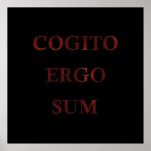 Poster Cogito ergo sum