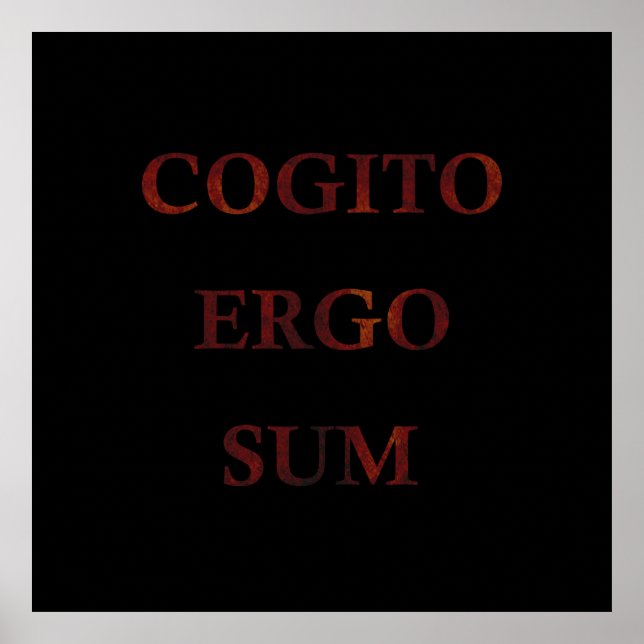 Poster Cogito ergo sum (Frente)