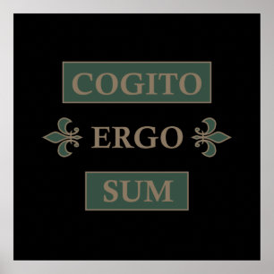 Poster cogito ergo sum, frase em latim