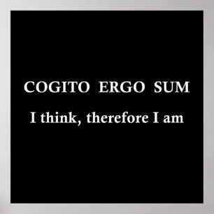 Poster cogito ergo sum, frase em latim