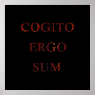 Poster cogito ergo sum, frase latina