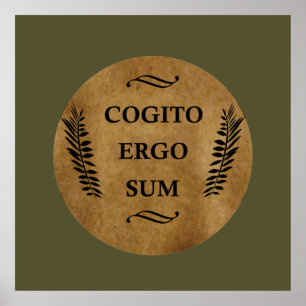 Poster cogito ergo sum, frase latina