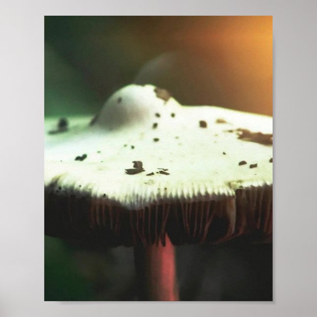 Poster Cogumelo Brilho Dourado (Frente)