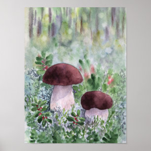Póster Cogumelo de Porcini em uma floresta