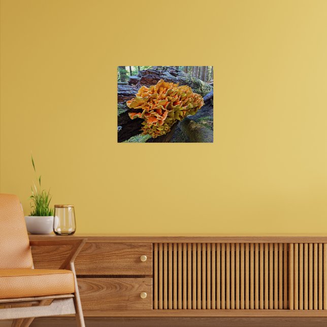 Poster Cogumelo Galinha-da-Flor Laranja (Sala de Estar 2)