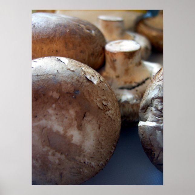 Poster Cogumelos criminosos (Frente)