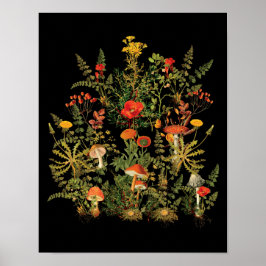 Poster Cogumelos De Flores Botânicas Vintage Caiam