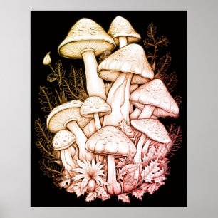Poster Cogumelos Gordos e Pálidos em Fundo Preto na Pared
