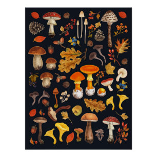Póster Cogumelos selvagens em preto