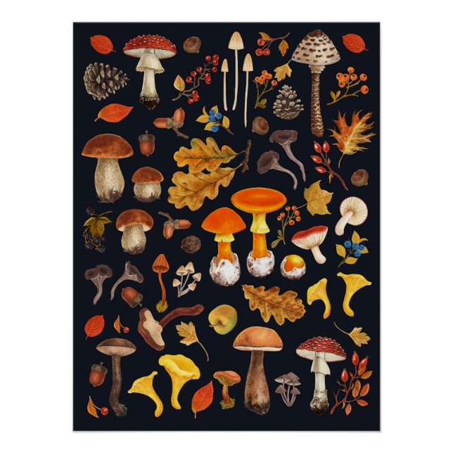 Póster Cogumelos selvagens em preto (Frente)
