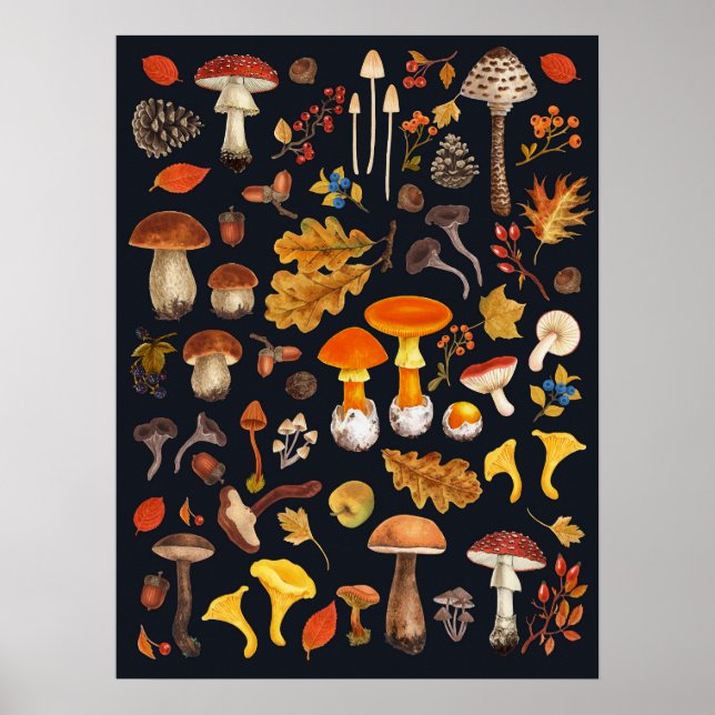Poster Cogumelos selvagens sobre fundo preto (Frente)