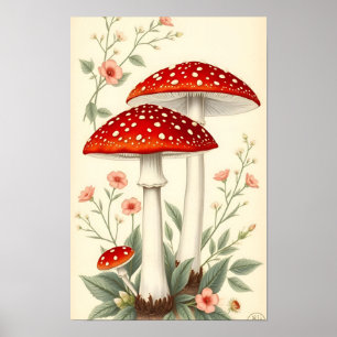 Poster Cogumelos Vermelhos e Brancos de Fly Agaric Floral