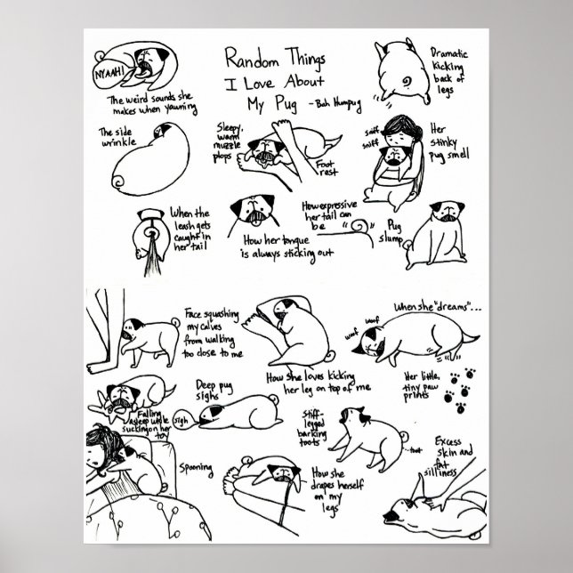 Póster Coisas Aleatórias Que Adoro Sobre O Meu Pug (Frente)