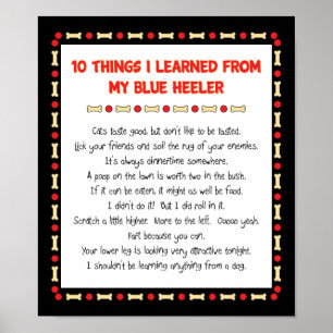 Poster Coisas Engraçadas Que Aprendi Com O Meu Coletor Az