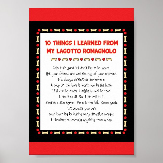Poster Coisas Engraçadas Que Aprendi Com O Meu Lagotto Ro (Frente)