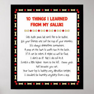 Póster Coisas Engraçadas Que Aprendi Com O Meu Saluki