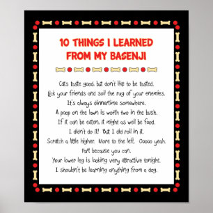 Póster Coisas que engraçadas eu aprendi de meu Basenji