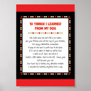 Poster Coisas que engraçadas eu aprendi de meu cão