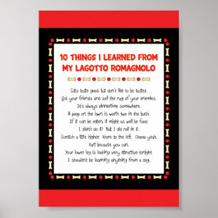 Poster Coisas que engraçadas eu aprendi de meu Lagotto