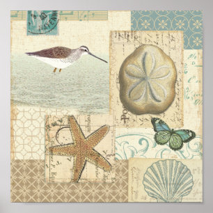 Póster Colagem Costeira