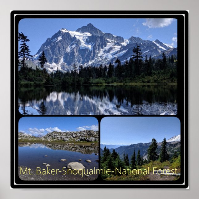 Poster Colagem da Floresta Nacional Mt. Baker-Snoqualmie (Frente)