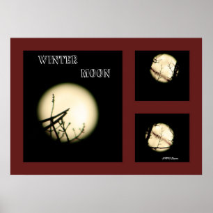 Póster Colagem da lua do inverno