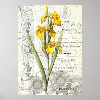 Poster Colagem de Estilos de Vintage