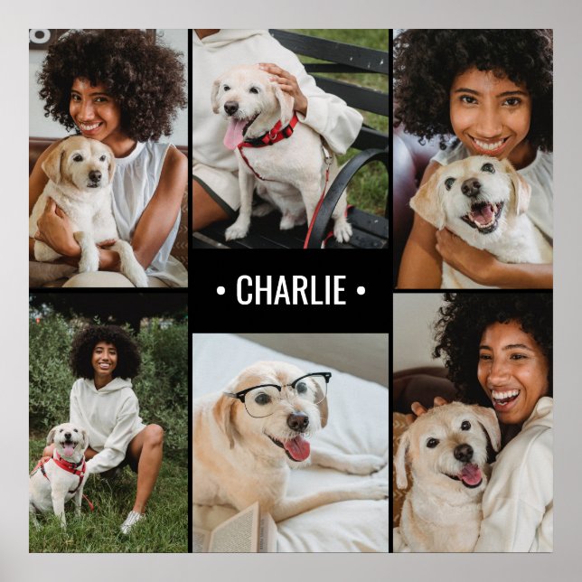 Poster Colagem de Fotos de Cães Monograma (Frente)