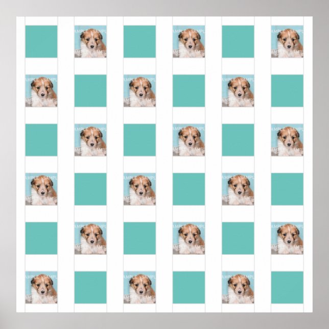 Poster Colagem de fotos de Pet 18 DIY guardar memorial (Frente)