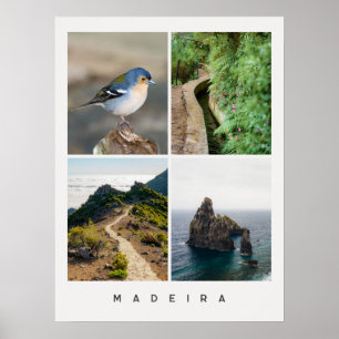 Poster Colagem de fotos de viagem da natureza e paisagens
