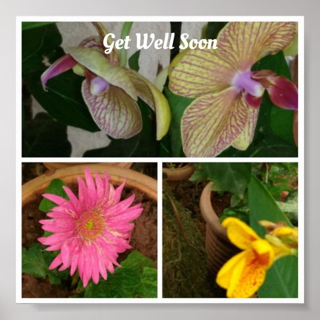 Poster Colagem de Fotos Floral (Frente)