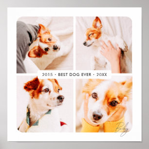 Poster Colagem de Fotos Moderno Melhor Cachorro Memorial