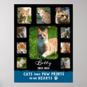 Poster Colagem de Fotos Personalizada Cat Bordas Desbotad